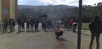 YANGIN KONULU EĞİTİM